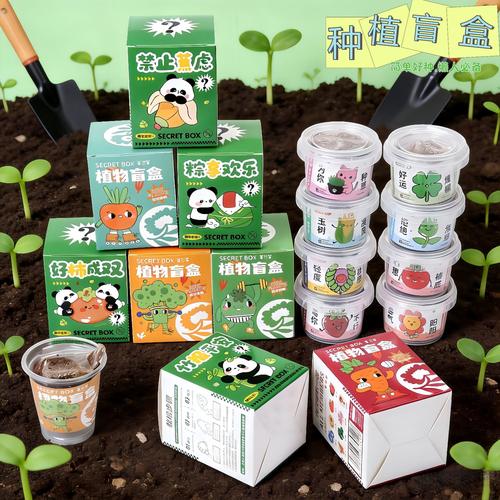 创意花卉diy