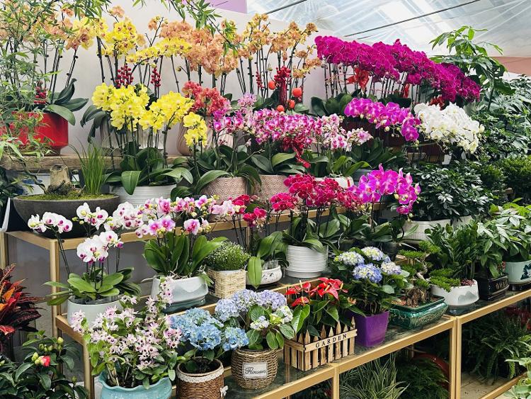 春风有信花为礼!妇女节济南市鲜花销售持续升温